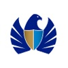 Dubai Custom logo