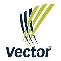 Vector Limited